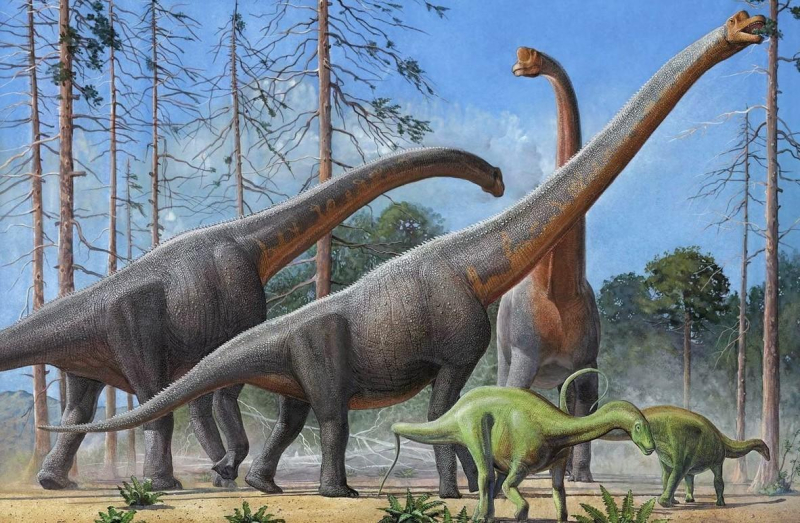 Почему динозавры были такими большими?